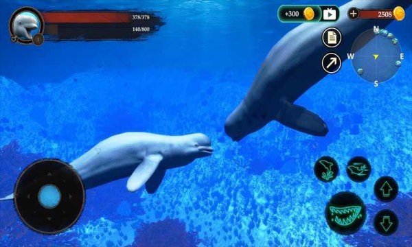 白鲸模拟器(3)