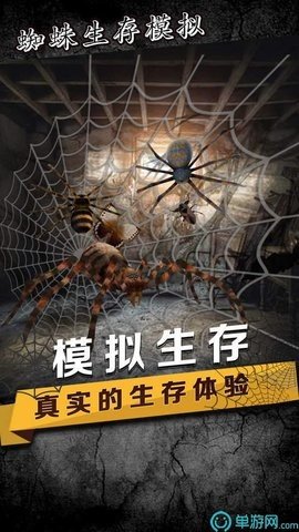 蜘蛛生存模拟器(2)