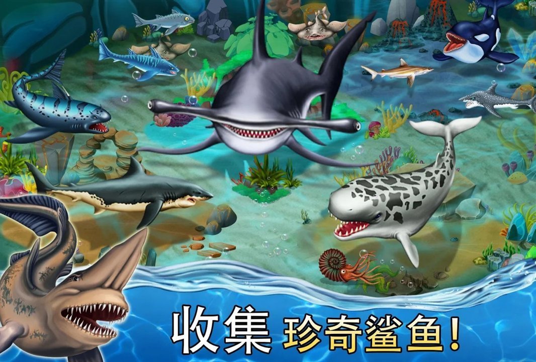 鲨鱼世界(1)