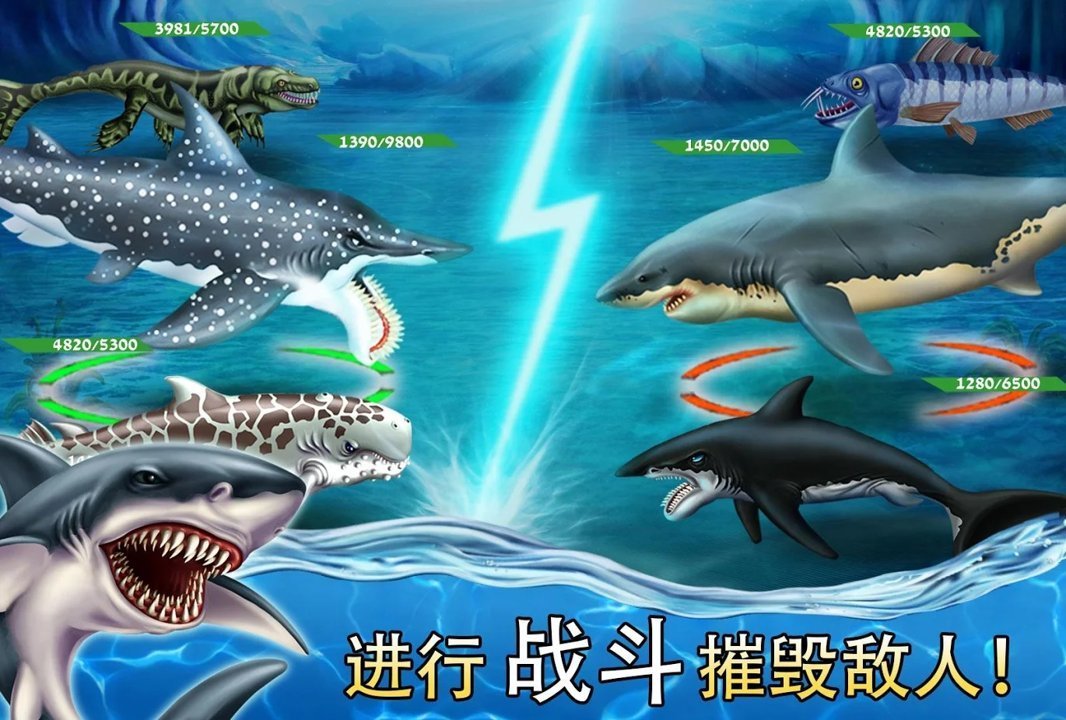 鲨鱼世界(4)