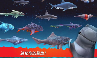 饥饿鲨进化破解版最新版国际服(4)