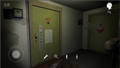 孙美琪疑案王勇篇(2)