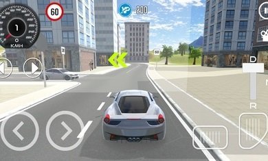 驾驶学校模拟2023无限金币中文版(5)